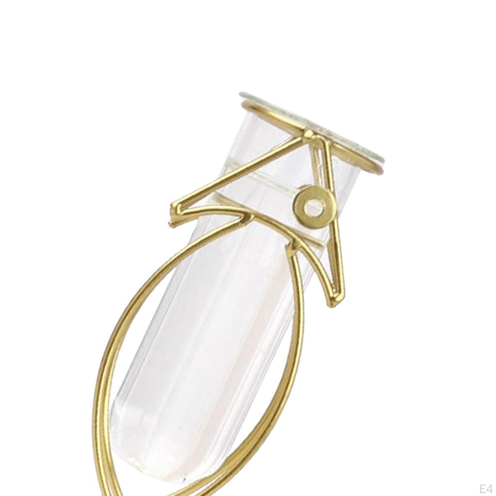 Plants Vase, Iron Dried Flower Vases Holder, Glass Plant Rack Stand for Home Desktop Decoration