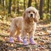 4PCS Adjustable Pet Mesh Boots Anti-Slip Pet Paw Protector Wear-resistant Dog Sneakers  Daily Wear