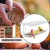 Plastic Clear Bird Feeders With Strong Suction Cups Transparent Bird House  for Viewing
