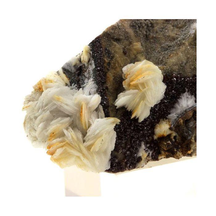 Pierres et Minéraux. Baryte + Sphalerite. 725.0 ct. Saint-Laurent-le-Minier, Occitanie, France.