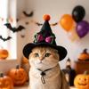 Pointed Brim Cat Witch Costume Cap Adjustable Strap Skeleton Spider Pet Hat  Holiday Decoration