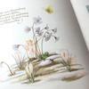 [USED] Foreign books, German picture books, vintage books, botanical