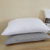 BGM-X2269 Healthy Brushed Embossed Pillow Pair