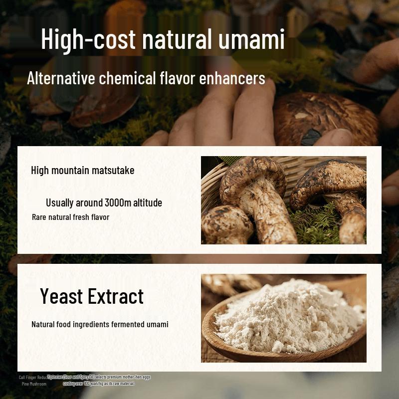 Song Xian Xian Natriumreduziertes Matsutake Umami Gewürz