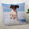 Spaniel Animal Pillowcase  Modern Home Living Room Decoration