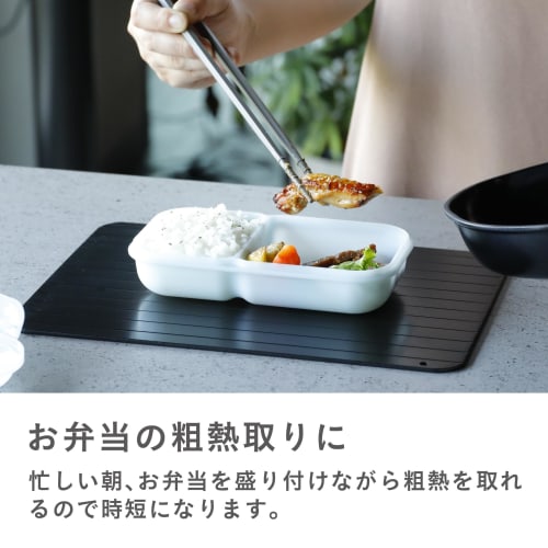 CB Japan Rapid Thawing Plate, 3mm Thick, 20.8 x 29.5cm, Dishwasher Safe, Simply Place Food on It, Fast Thawing, Quick Freezing, Atomico