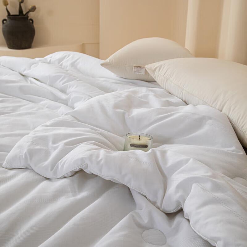 Muji Silk Milk Fiber All-Season Two-in-One Duvet