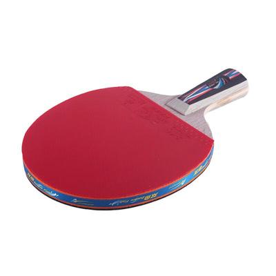 Double Fish 6-Star Table Tennis Racket