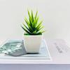 Simulated Aloe Vera Acorus Tatarinowii Succulent Plants For Indoor Decoration