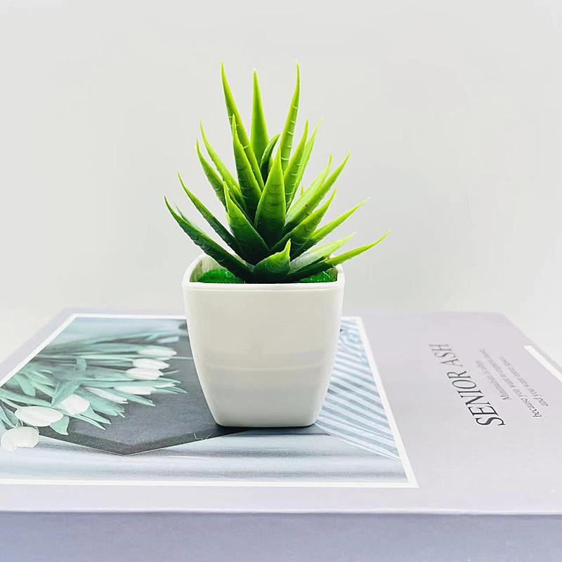 Artificial Succulent Plant With Plastic Craft For Home Decor And Office Use