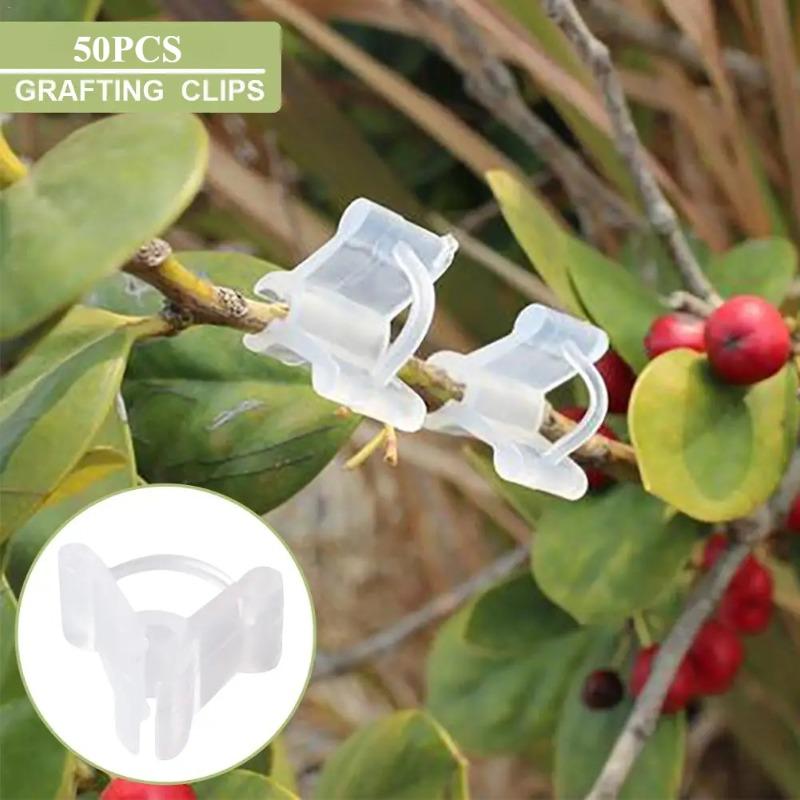 20/30/50PCS Plant Grafting Clips Mini Plastic Vegetable Fruits Plant Vine Bind Clamps Fruits Seeding Supports Connector Fixing Clips