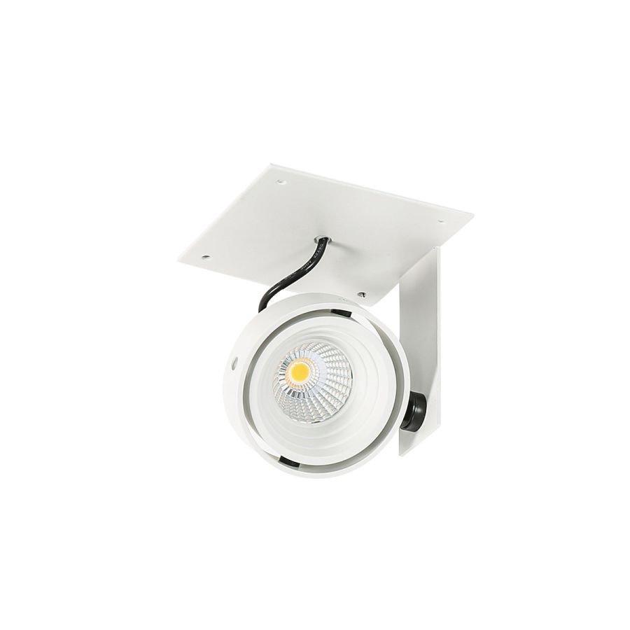 Lampa reflektor spot Patrizio GL7118-1 4000K Italux