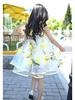 2025 New Summer Girls' Sleeveless Floral Chiffon Beach Dress for Toddlers & Kids