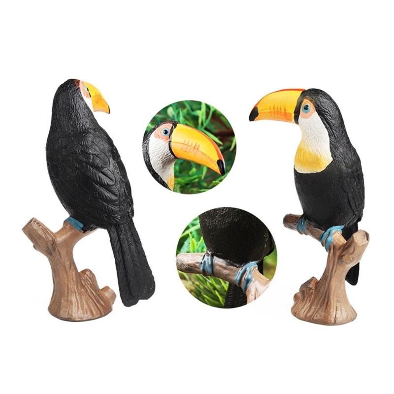 Realistic Toucan Figure Observation Display Static Model Statue Bird Figurine Playhouses Layout Kids Basket Stuffings