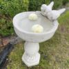 Concrete Bird Waterer with Decorative Column for the Garden