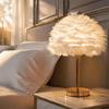 Warm Feather Feather Lamp Shade Soft Decorative Pendant Light Shade Office Lighting
