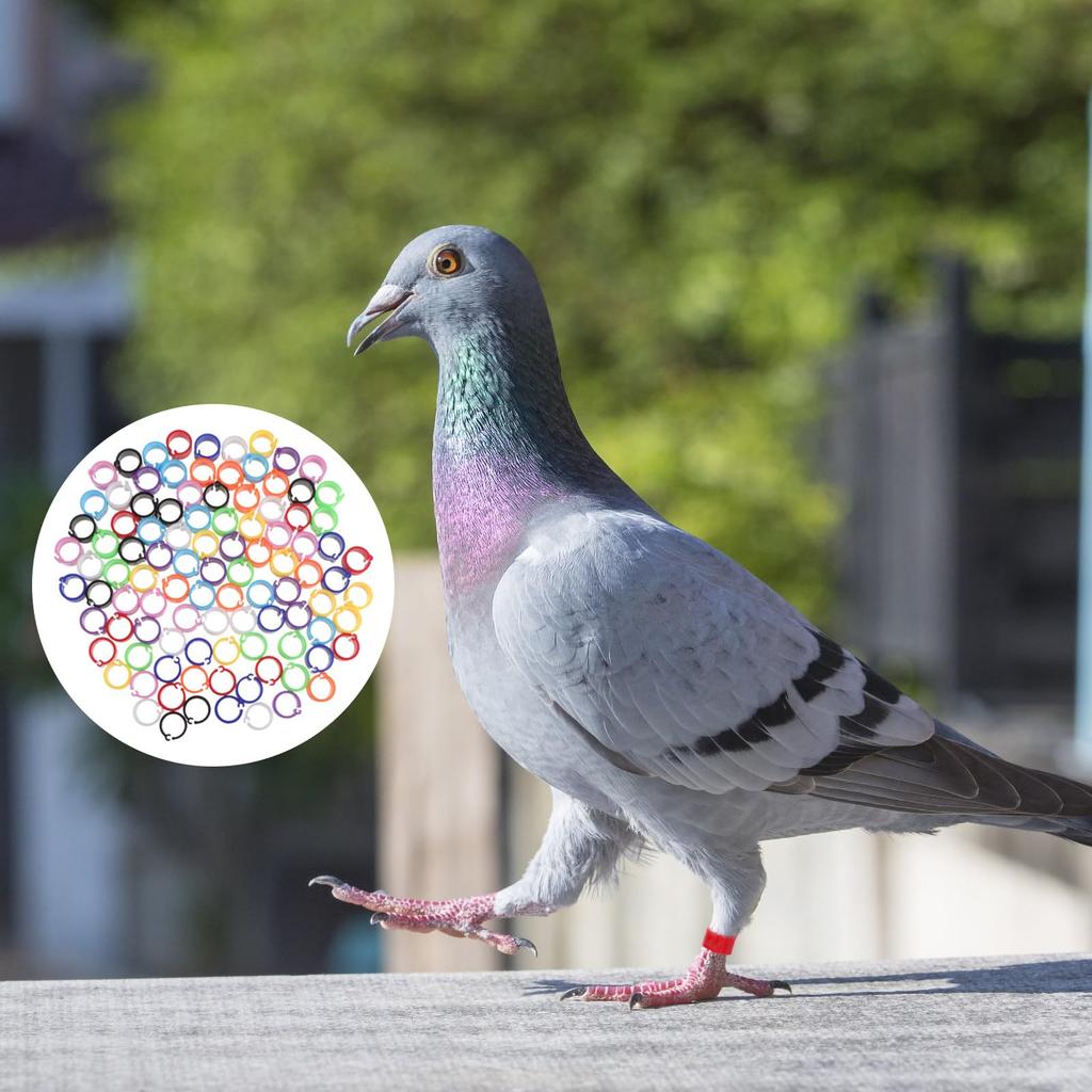 100 Piece Set Poultry Foot Rings Bird Identification Rings Chicken Duck Foot Rings Clips Chicken Duck Foot Rings Pigeon Duck Chicken Foot Rings Split