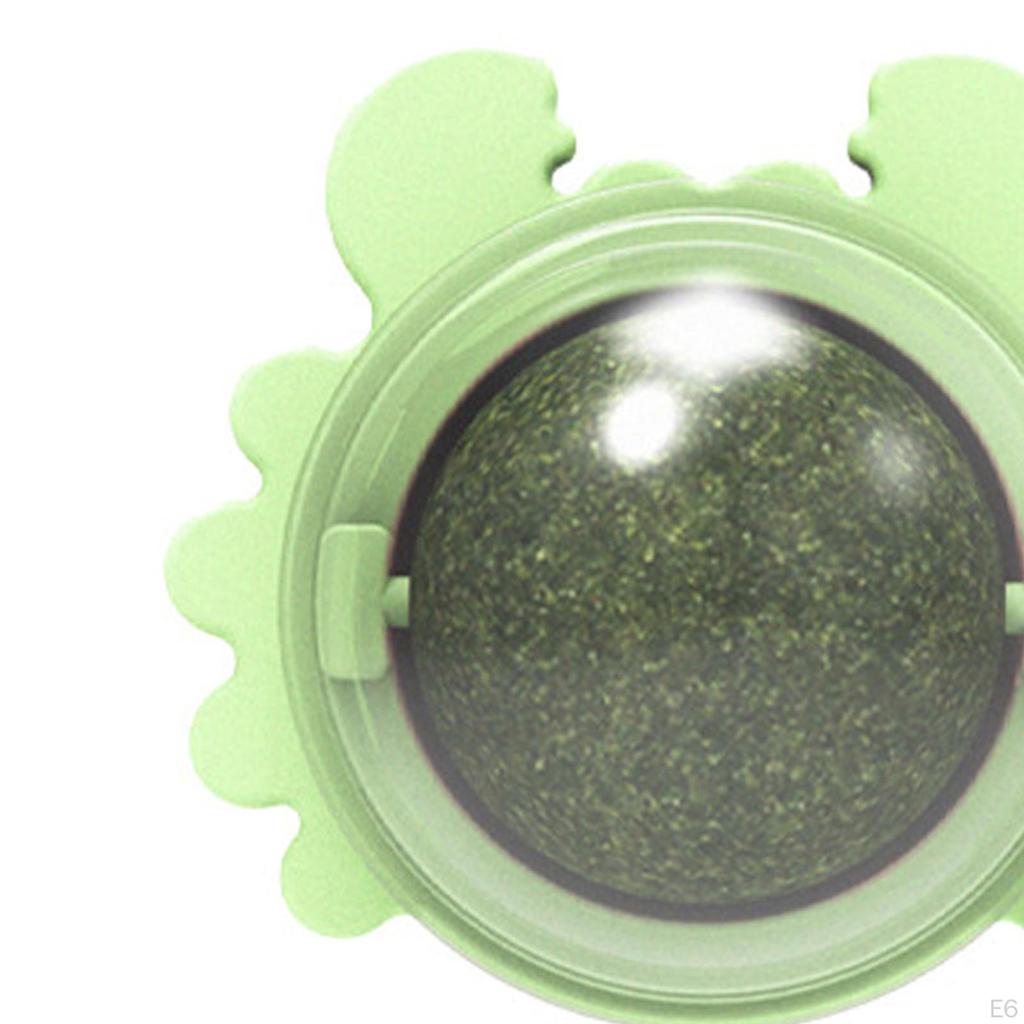 Katzenminz-Bälle Essbar Abnehmbar Drehbar Interaktiv für Snacks, Reinigung, Spielen, Kätzchen Kauen