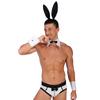 Mens Lingerie Set Bowknot Briefs Bunny Ears Headband Bowtie Collar Cuffs Halloween Costume