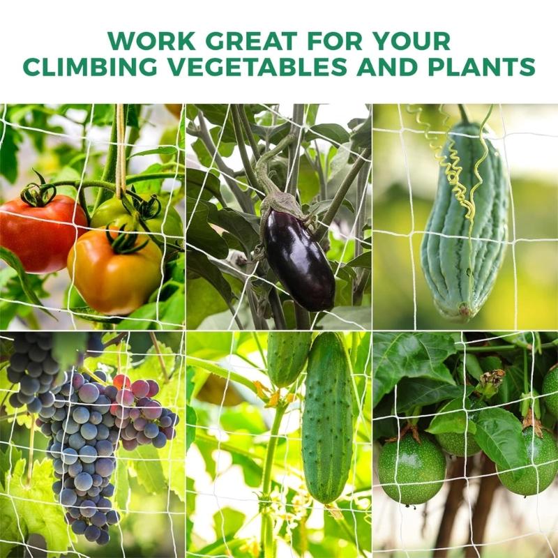 Easy Setups Tomatoes Plant Climbing Net Crafted from Polyester Ideal for Balcony Gardening and Vegetable Growth Support