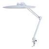 Folding Clip-on LED Desk Lamp: Eye Protection for Study, Manicure, Eyelash Extension, Tattoo, and Beauty Lighting