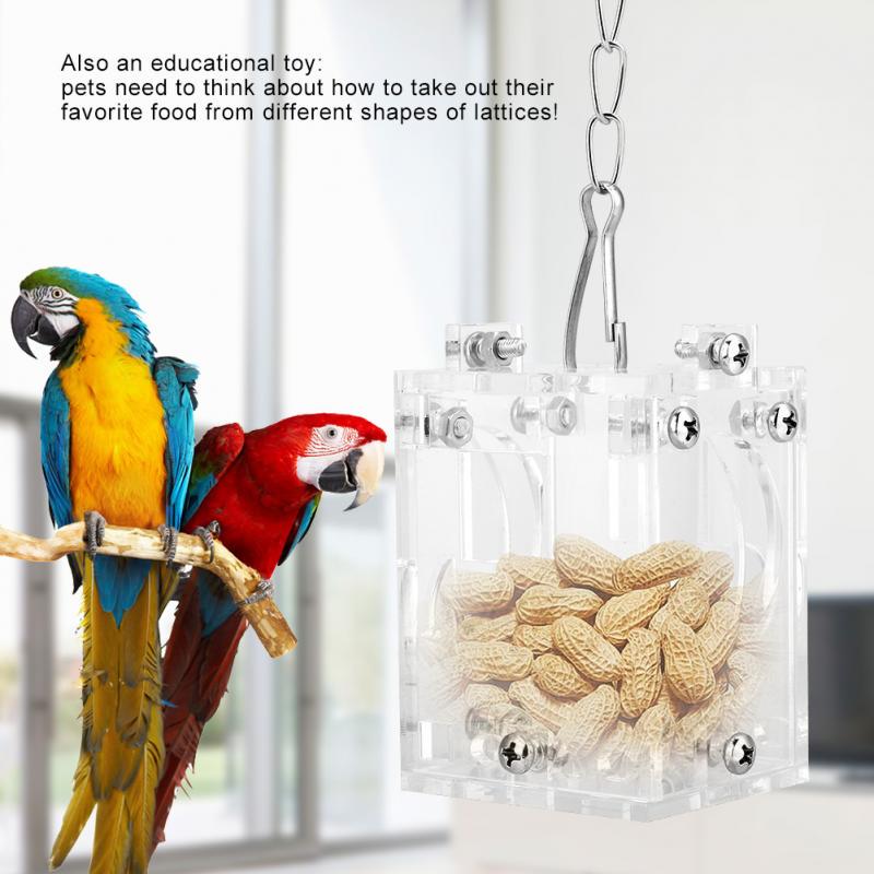 parrot puzzle toys