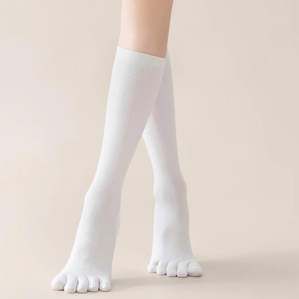 High Tube Five-Toe Socks Spring Autumn Five Finger Socks New Calf Socks  Ladies Stocking