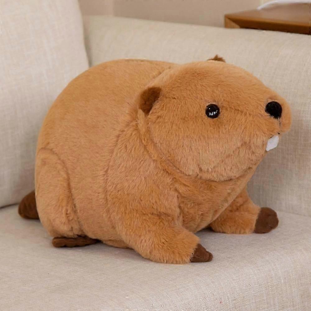 SSRGV Lifelike Beaver Stuffed Animal with Big Front Teeth Animated Plush Toy Doll Super Realistic Beaver Act Like Real Excellent Gifts 17.7 Inches