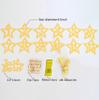 First Birthday Glitter Star Banner with Clips and Flowers for One-Year-Old Photo Party