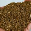 Compost Bacteria Solution for Roots Daily Crop Absorption Enhancer For Professional and Home Agriculture Purposes