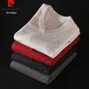 Pierre Cardin Premium Men's V-Neck Knit Sweater