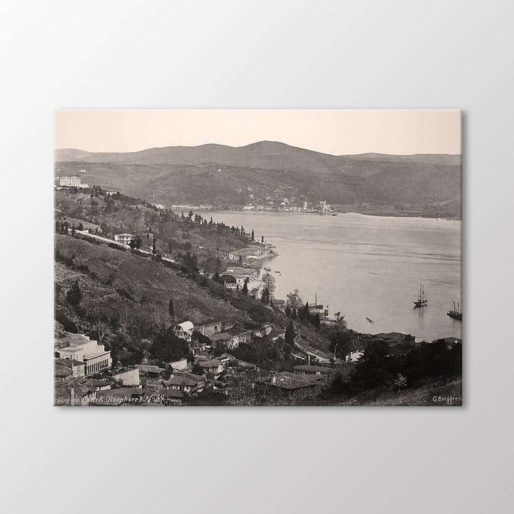 

Долина Бебека, 1880 г. Живопись