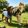 Anti Licking Dog Recovery Suit After Surgery Modal Breathable Pet Surgical Gown Medical Pet Bodysuit