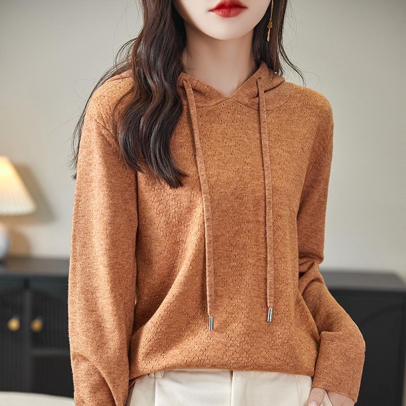 Spring and Autumn New Hooded Knitted Sweater Women's Hoodie Loose and Skinny Versatile Top Wear Inside and Outside Bottom Shirt