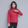 2023 Women's Off-Season Lightweight Cotton Jacket, Solid Color, Korean Style, Versatile, Short and Slim Fit
