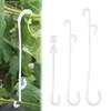 10PCS Plant Fixed Fruit Hooks