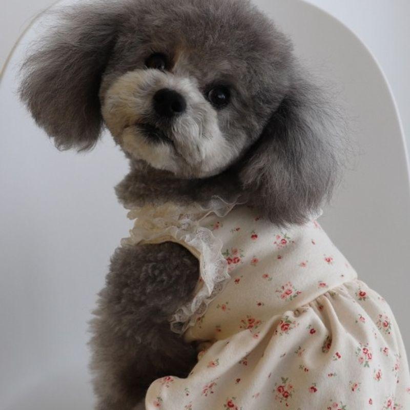 Haneul Mung Mung Sky Woof Woof Baby Sailor Moon One Piece 3 Colors