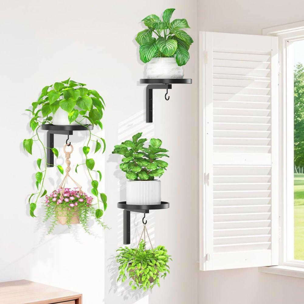 Wall Mounted Floating Flower Display Stand Metal Wall Plant Stand Plant Hangers  Indoor Outdoor