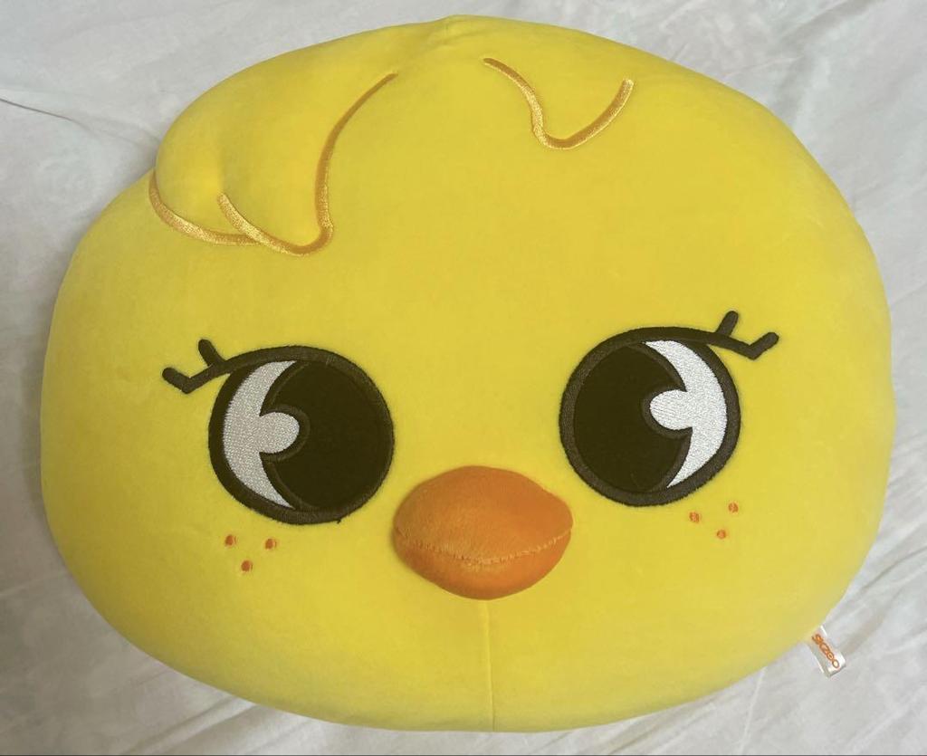 [USED] Straykids Pogari Cushion