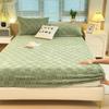 2025New Thickened Warm Bed Sheet Single Piece Autumn Winter Coral Fleece Bed Sheet Taffeta Mattress Protector