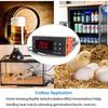LED Digitaler Temperaturregler, Thermostat, Temperaturregler, Inkubatorrelais, Heizen und Kühlen 12 V 24 V 220 V STC-1000