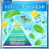 Pyuora [Bulk Purchase] Toothpaste Clean Mint Large Capacity 170g X 2 Set