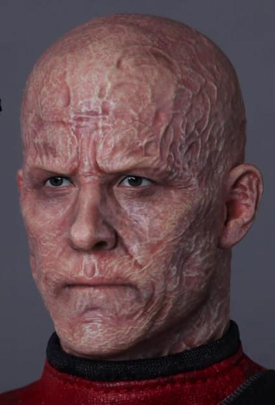 [AC] PRESENT TOYS 16 Collection Doll Series Bald PT-SP88 Articulated Action Figure Head