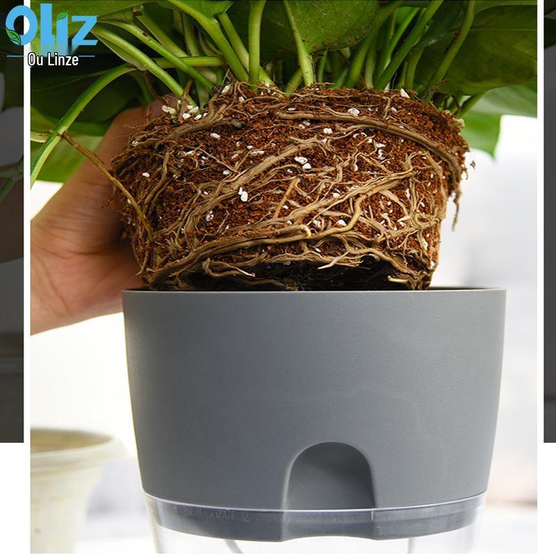 Transparent Double-Layer Self-Watering Pothos Pot - Large Round Design