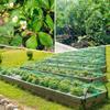 1PC bird prevention net, garden net, orchard polyethylene extrusion bird prevention net, grape protection against green, bird screen