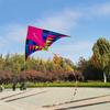 Fairy Style Large Triangle Kite for Adults and Children - Easy to Fly