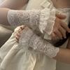 Lace Trim Lace Arm Sleeves Mesh Wrist Sleeves Vintage Fingerless Gloves  Lolita Decor