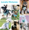 Adjustable Reflective Pet Harness Breathable Cat/Dog Mesh Vest for Cute Small Cats Dogs Outdoor Walking Pet Supplies