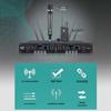 HuiDu QH-9900 Professional Dual Wireless Microphone System (CN Version)