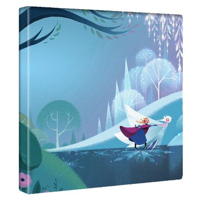 Disney Frozen Art Panel, 30cm X 30cm, Made In Japan, Poster, Stylish Interior Decor, Living Room Decor, Anna and Elsa, Sisters, Fabric Panel, Dsn-0285